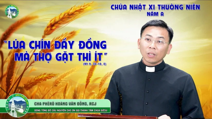 📖 Bài Giảng | Chúa Nhật 11 Thường Niên – Năm A. Cha Phêrô Hoàng Văn Đồng, RCJ