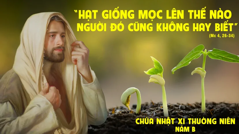 Chúa Nhật, Tuần XI, Thường Niên B