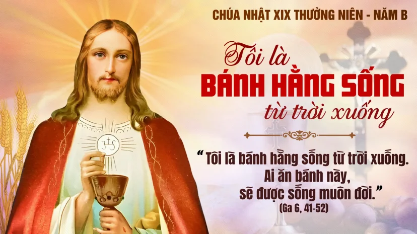 Chúa Nhật XIX Thường Niên B
