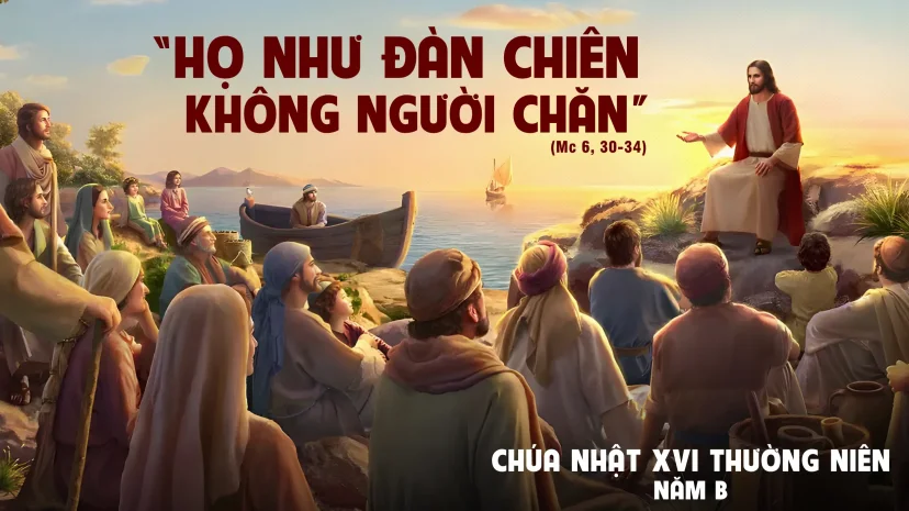 Chúa Nhật XVI Thường Niên Năm B