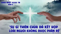 CN 27 TNB : Người Đã Làm Nên Họ: Nam Và Nữ