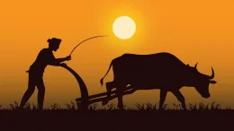 Nét Hòa Bình Trong Văn Hóa Việt Nam