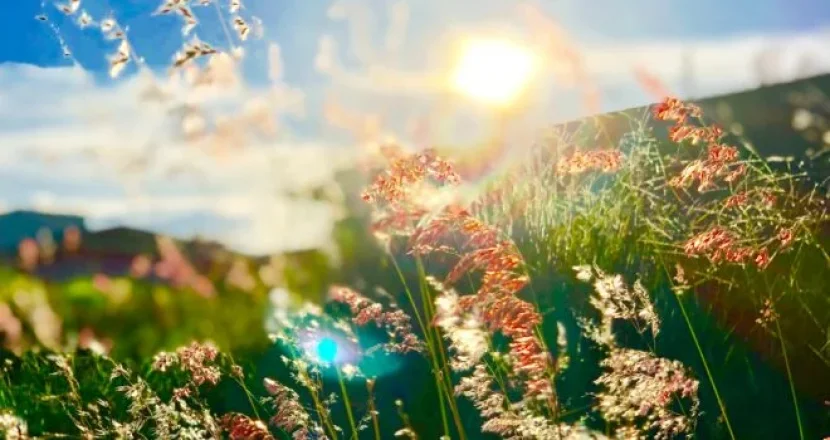 THANH LUYỆN Ý HƯỚNG VÀ VƯỢT QUA NỖI SỢ HÃI CỦA CHÚNG TA