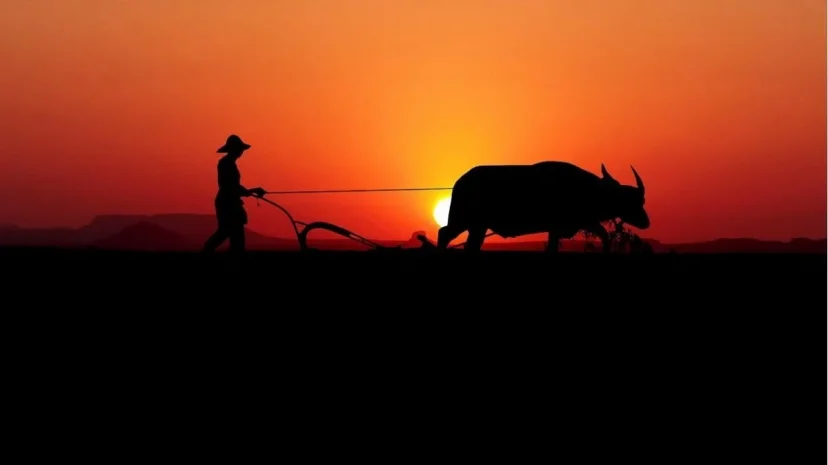 Tin Mừng Với Bạn Trẻ 14/11/2023