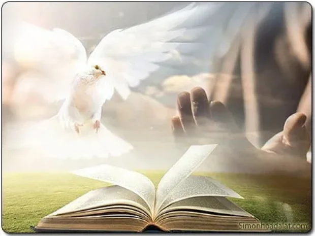 Bài 25: LUẬT LUÂN LÝ