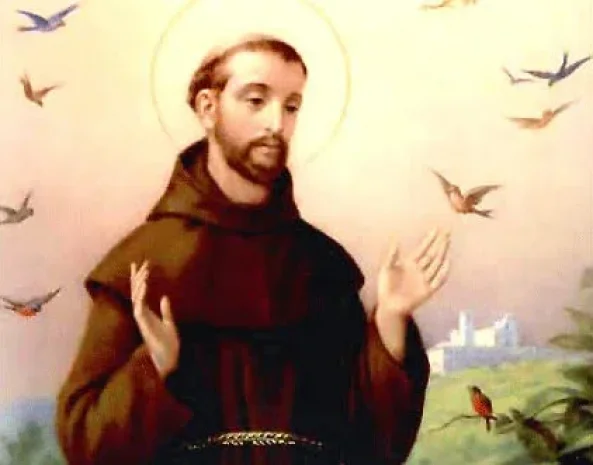 Bài II: Tại Sao Thánh Phanxicô Gọi Các Thụ Tạo Là “ANH-CHỊ-EM”?