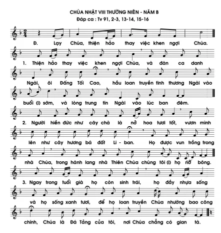 CHÚA NHẬT VIII THƯỜNG NIÊN – NĂM B