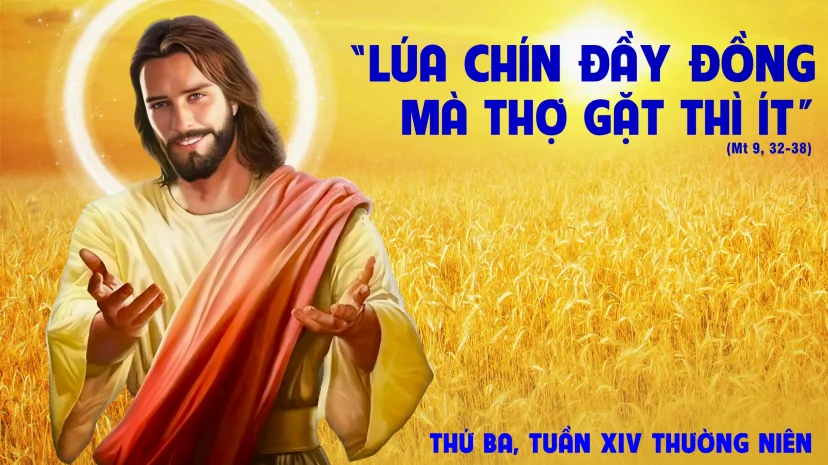 Thứ Ba, Tuần XIV, Thường Niên
