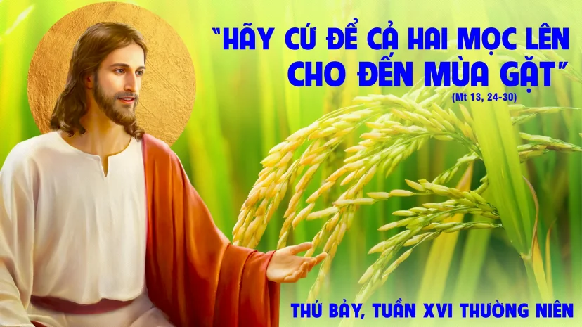 Thứ Bảy, Tuần XVI, Thường Niên