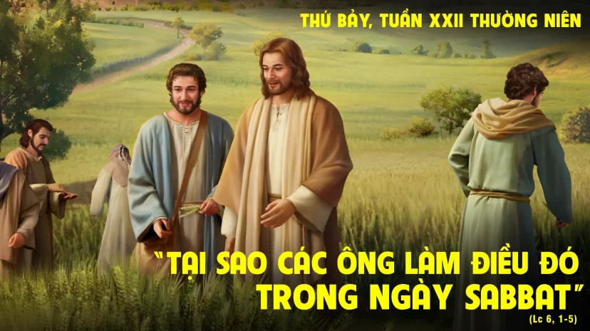 Thứ Bảy, Tuần XXII, Thường Niên