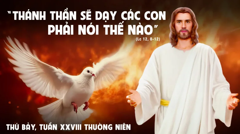 Thứ Bảy, Tuần XXVIII Thường Niên