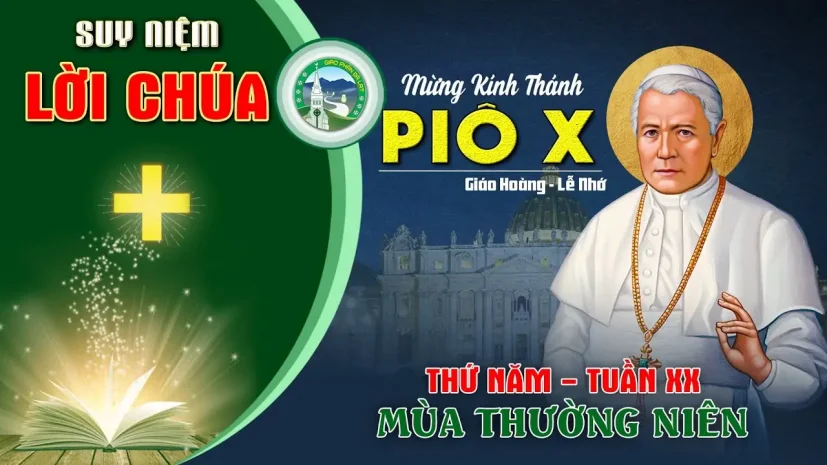 Suy Niệm Lời Chúa – Thứ Năm Tuần XX Thường Niên C I Thánh Giáo Hòang PIO X.