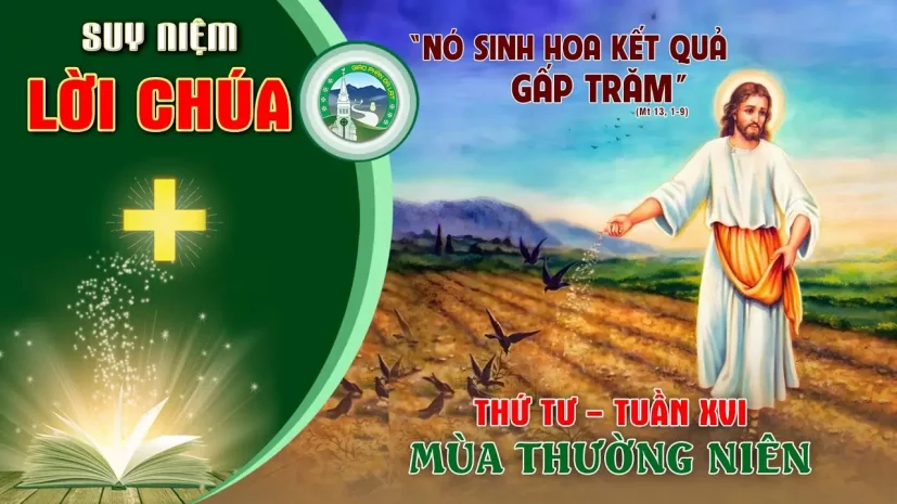 Suy Niệm Lời Chúa – Thứ Tư Tuần XVI Thường Niên C