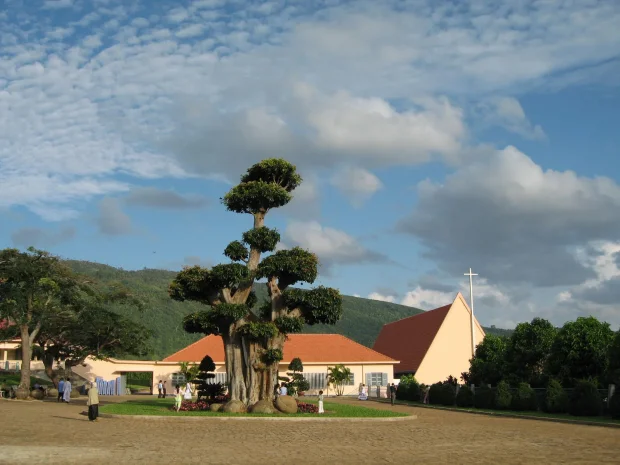 THÔNG BÁO: NHẬN TU SINH VÀO ĐAN VIỆN XITÔ THÁNH MẪU CHÂU SƠN ĐƠN DƯƠNG
