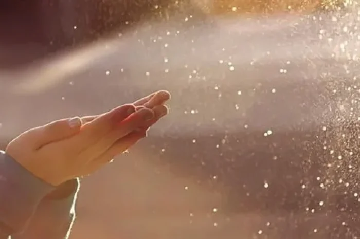 Giêsu Có Thật Không?