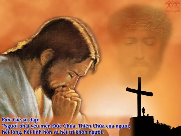 Suy Niệm Chúa Nhật XXX TN A – Nhiều Tác Giả