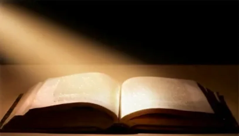 Năm A – Chúa Nhật 28 Thường Niên