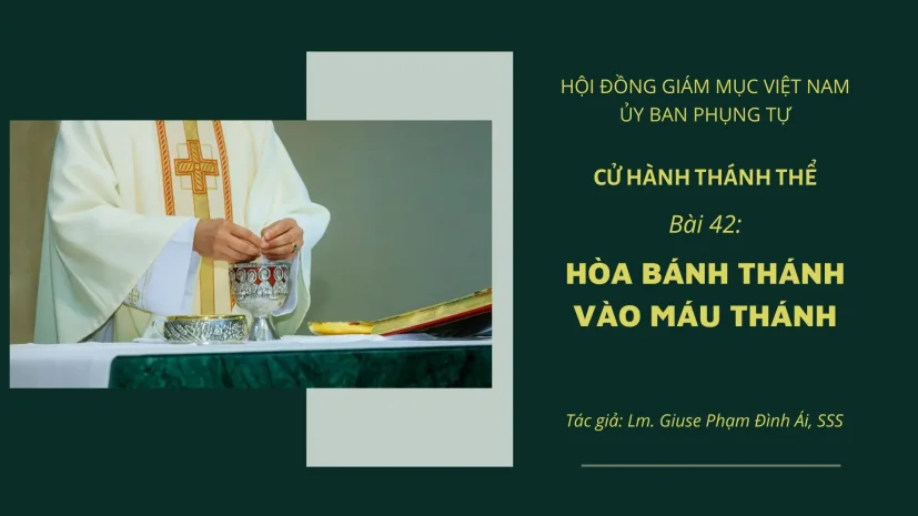 CỬ HÀNH THÁNH THỂ: BÀI 42 – HÒA BÁNH THÁNH VÀO MÁU THÁNH