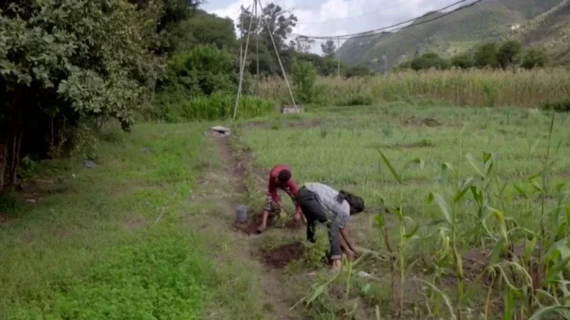Đức Thánh Cha kêu gọi quan tâm hơn đến những gia đình làm nông
