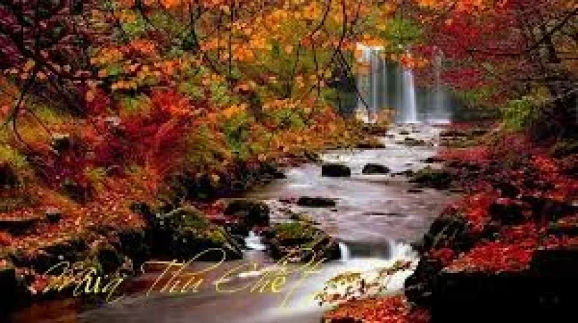 Mùa Thu Đã Chết!