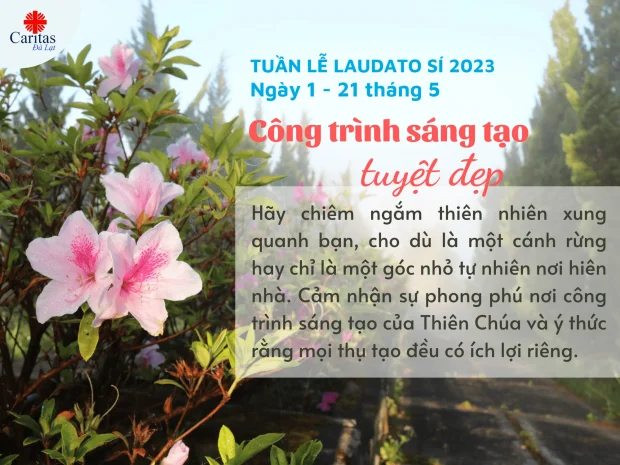 Tuần lễ Laudato Sí 2023 – Ngày 1: Công Trình Sáng Tạo Tuyệt Đẹp