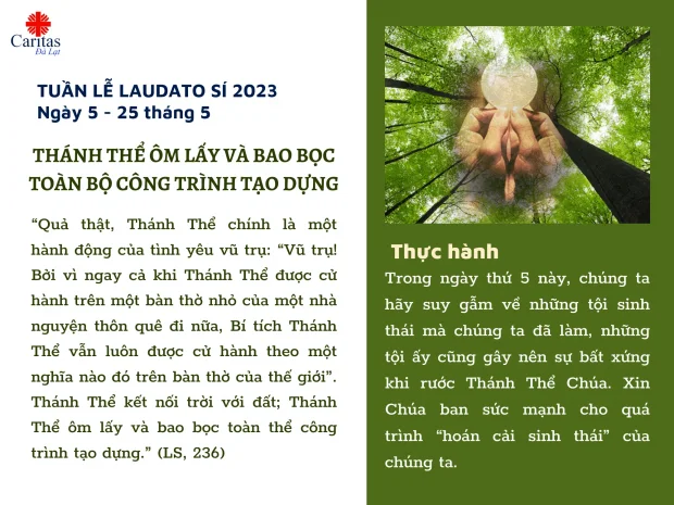 Tuần lễ Laudato Sí 2023 – Ngày 5: Thánh Thể Ôm Lấy Và Bao Bọc Toàn Bộ Công Trình Tạo Dựng