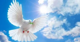 Giờ Chầu Thánh Thể: Cầu Xin Hoà Bình Cho Nga và Ukraina