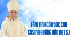 Phỏng Vấn Đức Cha Cosma Hoàng Văn Đạt về Hội Nghị Thường Niên Kỳ I-2013 Hội Đồng Giám Mục Việt Nam