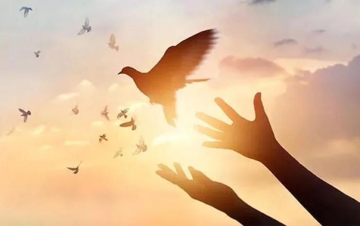 Sứ Điệp Của Đức Thánh Cha Nhân Ngày Hòa Bình Thế Giới Lần 45