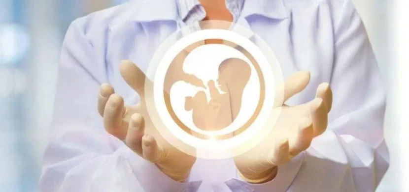 Thụ Tinh Nhân Tạo – Mang Thai Hộ và Luân lý Kitô Giáo