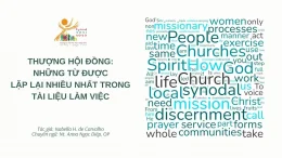 Thượng Hội đồng: Những từ được lặp lại nhiều nhất trong Tài liệu làm việc