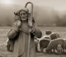 Thư Của Hội Đồng Toà Thánh Cổ Võ Tân Phúc-Âm-Hóa Mời Các Linh Mục Tham Dự Những Ngày “Năm Thánh Dành Cho Linh Mục”