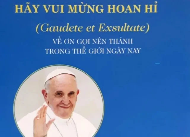 Tóm Lược Tất Cả Các Đoạn Tông Huấn Hãy Vui Mừng Hoan Hỉ