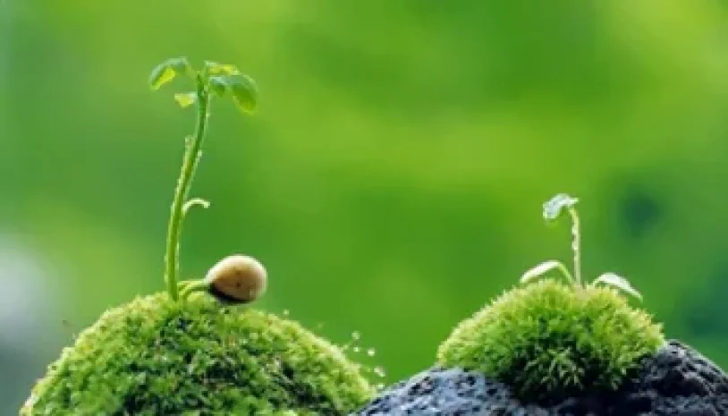 Những Khó Khăn Trong Cuộc Đời