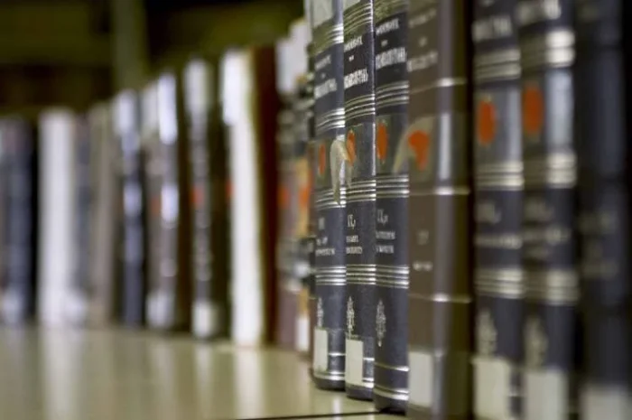 Biện Chứng Trong Giáo Hội: Ðoàn Sủng Và Giáo Luật