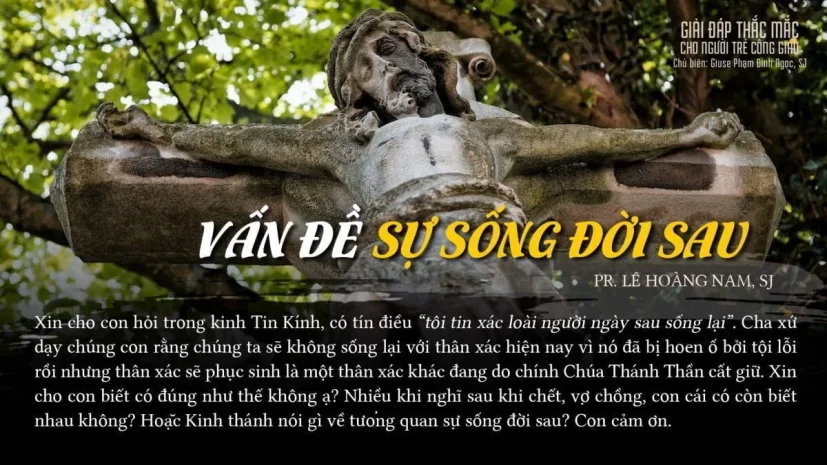 Vấn đề sự sống đời sau