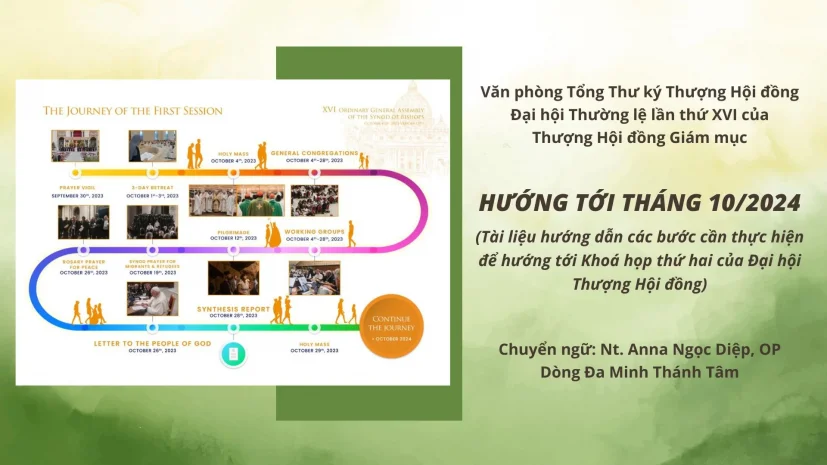 Văn phòng Tổng Thư ký Thượng Hội đồng: Tài liệu hướng dẫn các bước cần thực hiện để hướng tới tháng 10/2024