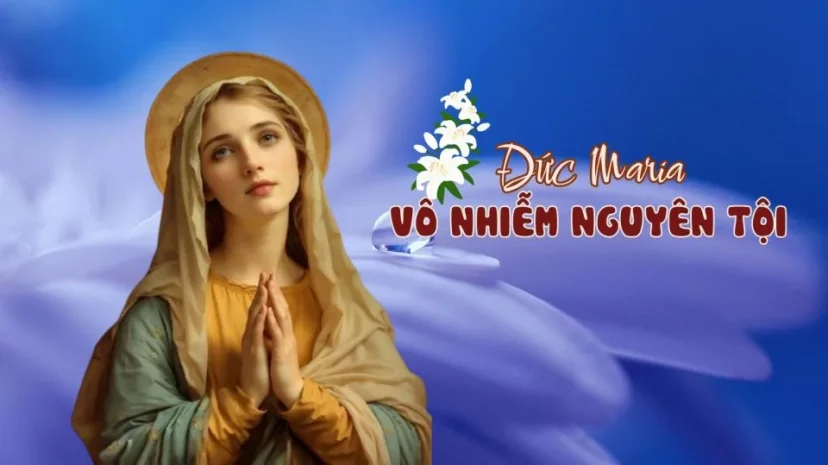Ngày 8 tháng 12: ĐỨC MẸ VÔ NHIỄM NGUYÊN TỘI