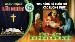 Suy Niệm Lời Chúa – Thứ Hai 29/12 – Ngày V tuần Bát Nhật Giáng Sinh